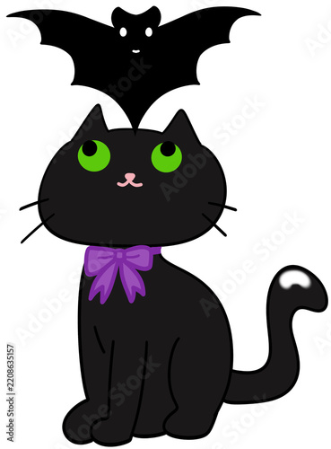 Black Cat Looking at a Bat