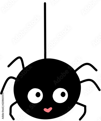 Spider