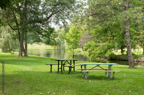 Peaceful Picnic Area in a Green Park Surrounded by Trees