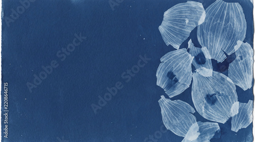 Indigo Cyanotype Style Background with Delicate Onion Skin Impressions and Copy Space