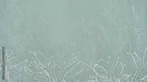 Mint Green Textured Background with White Branching Border and Copy Space