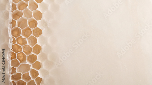 Cream Honeycomb Texture Border with Warm Backlighting and Copy Space