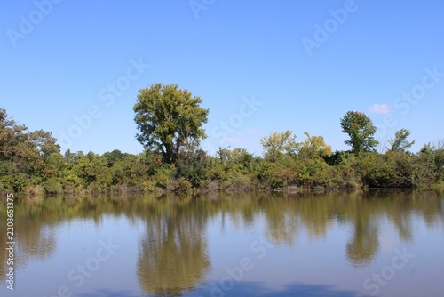 Two isolated tall trees on the shore of Belly Deep Slough in Palos Hills, Illinois