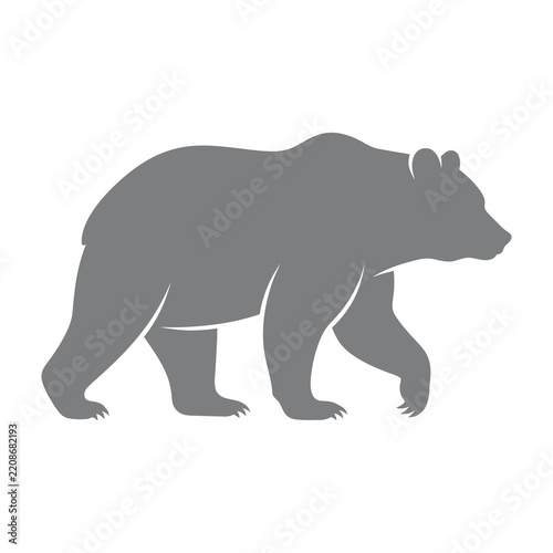 Gray bear walking right side profile
