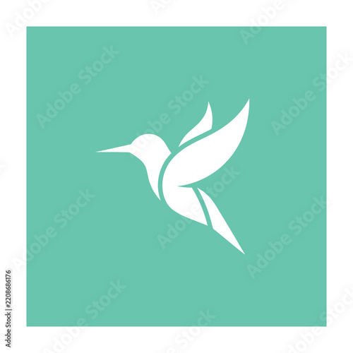 white hummingbird flying on teal background simple icon symbol