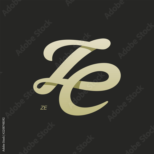 Letter Z and E Monogram Vector Logo	
