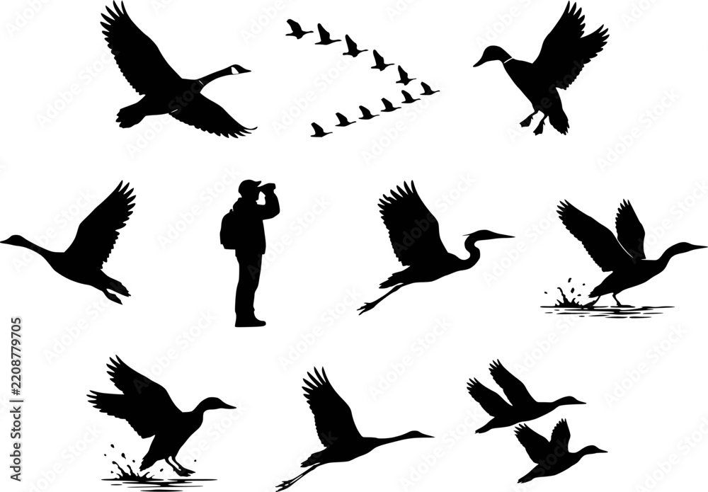 Obraz premium Migrating waterfowl silhouettes vector icon set. Featuring flying Canada goose, V formation flock, ducks taking off from water, heron, crane, large flock, and birdwatcher with binoculars.