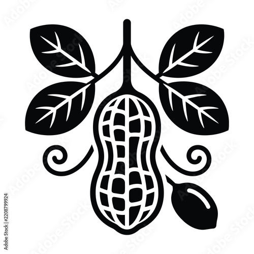 Peanut plant with leaves and nut