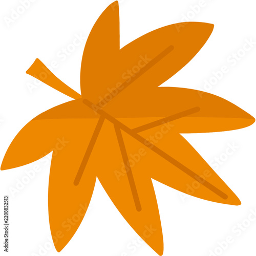 orange flower isolated on white background