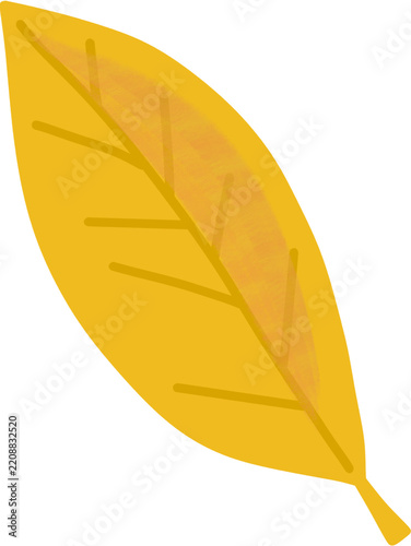 yellow fallen leaves