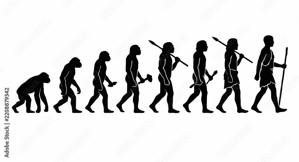 Obraz premium Human Evolution Vector Silhouette from Primate Ape to Early Caveman