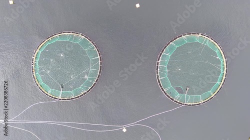 Aerial of a fish farm along the coast of Norway on an overcast day. Circular net pens of aquaculture salmon farm in cold water of fjord in Tromsø, Norway. Aerial drone, copy space