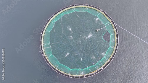 Aerial of a fish farm along the coast of Norway on an overcast day. Circular net pens of aquaculture salmon farm in cold water of fjord in Tromsø, Norway. Aerial drone, copy space