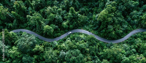 Aerial view of a winding road through a dense green tropical rainforest