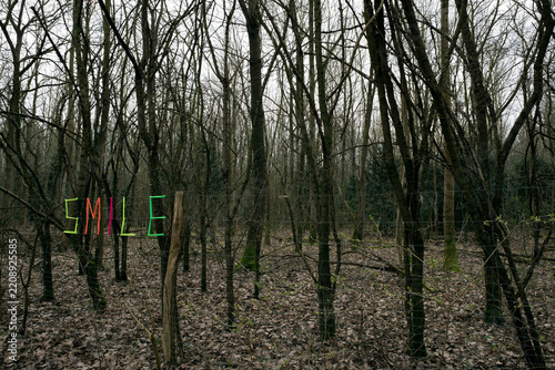 Woven word smile in forest