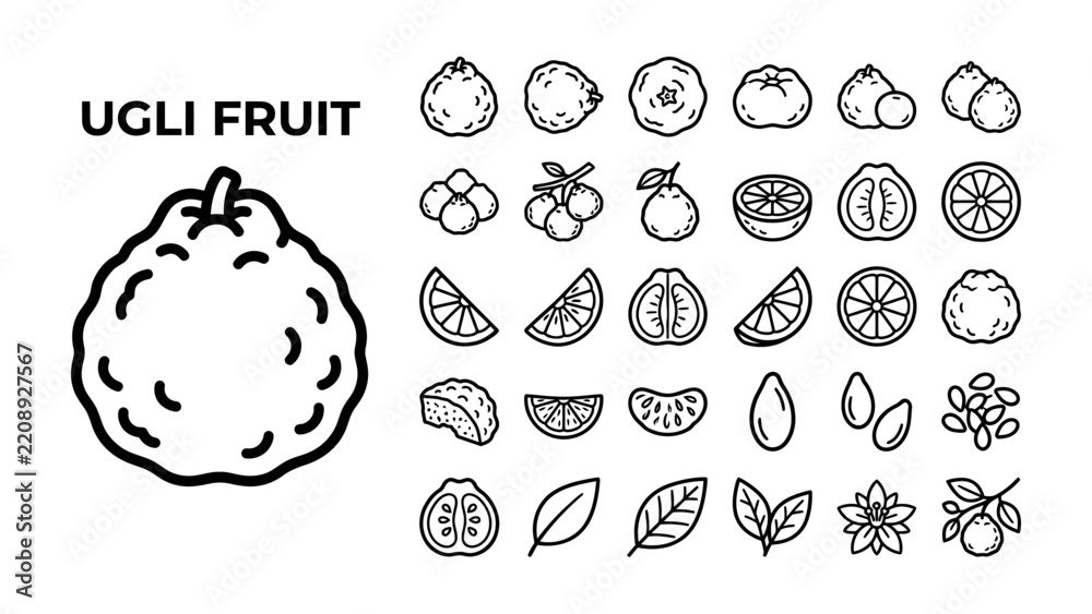 Fototapeta premium Ugli Fruit Illustrations: A collection of clean line art illustrations showcasing the ugli fruit in various forms, including whole fruit, sliced sections, individual segments.