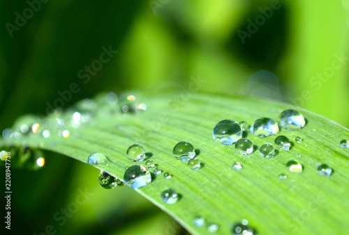 水滴