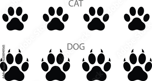Photography Comparison collection of solid black cat paw prints and sharp clawed dog track s