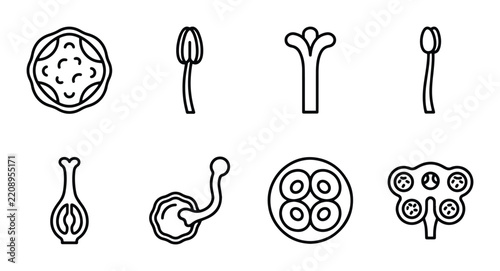 Plant reproductive parts outline solid styles, UI and web interface.