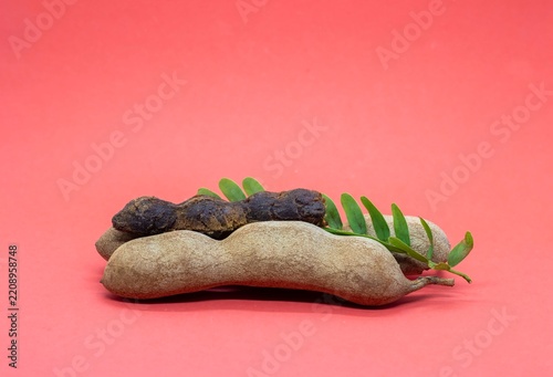 Ripe Tamarind or Imli with Green Leaves Isolated on Red Background with Copy Space