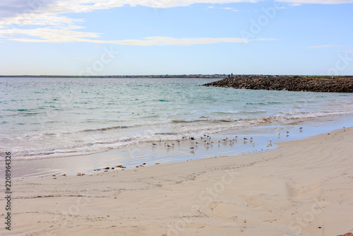 White Sandy Beach with Seabirds Along the Shore at Moonta Bay, South Australia, Australia
