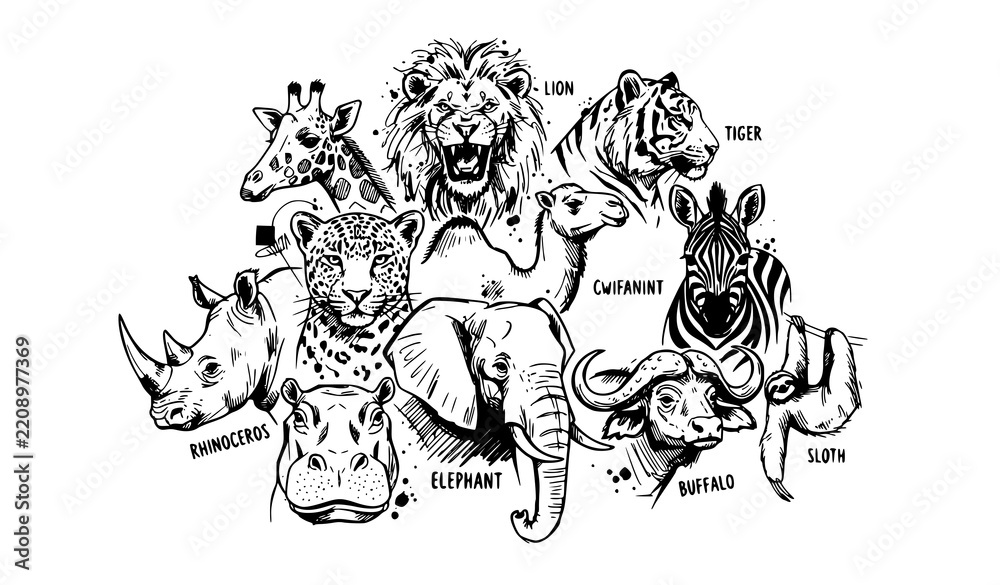 Obraz premium Hand Drawn Wild Animal Portrait Cluster Abstract Vector Illustration