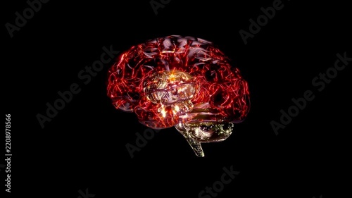 Brain digital color. Featuring internal electrical circuit-like lines Simulation of neuronal communication. Futuristic medical technology concept. Animation Seamless loop, 3D Render.
