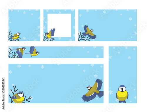 Winter Bird Blue Tit social media templates various sizes