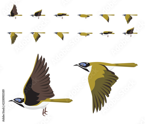 Blue-Faced Honeyeater Bird Flying Animation Sequence Cartoon Vector