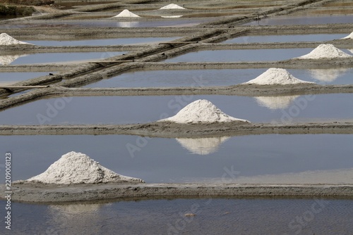 Les marais salants de Guérande en Loire-Atlantique