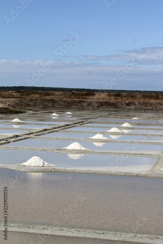 Les marais salants de Guérande en Loire-Atlantique
