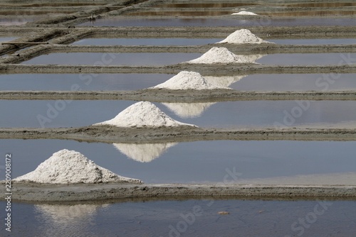 Les marais salants de Guérande en Loire-Atlantique