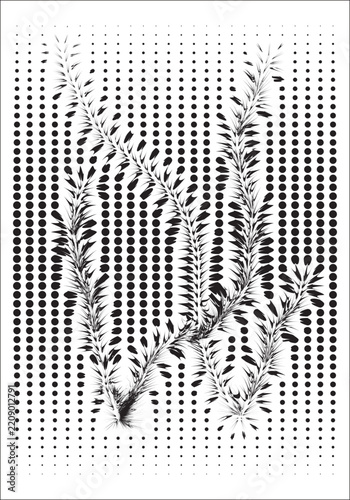 Black halftone botanical grass and wild plant illustration With organic dot texture For modern nature design.