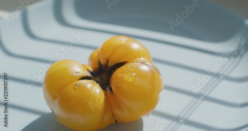 Yellow tomato in a light blue plate. Tomatoes sprinkled with water. Agricultural industry and farming.