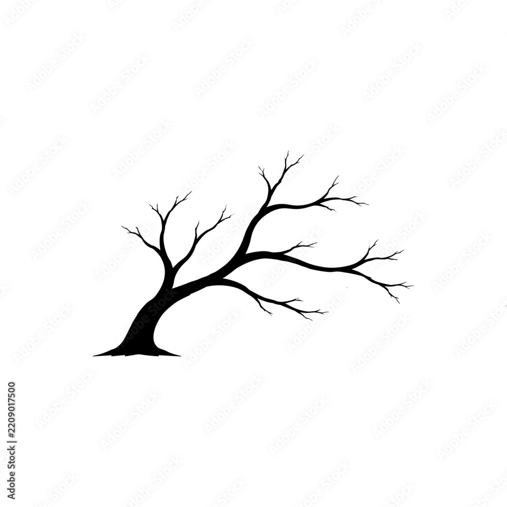 Fototapeta premium Spooky Tree Branches