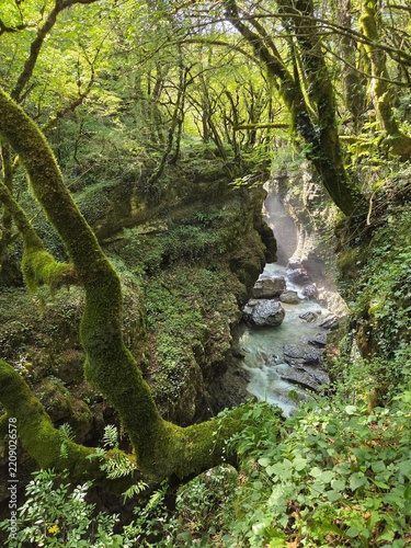 river gorge in Martvili Canyon, Georgia
