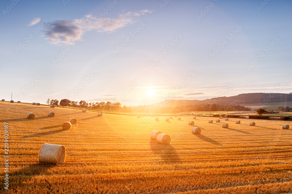 Obraz premium Hay bales in golden field with sunset summer background