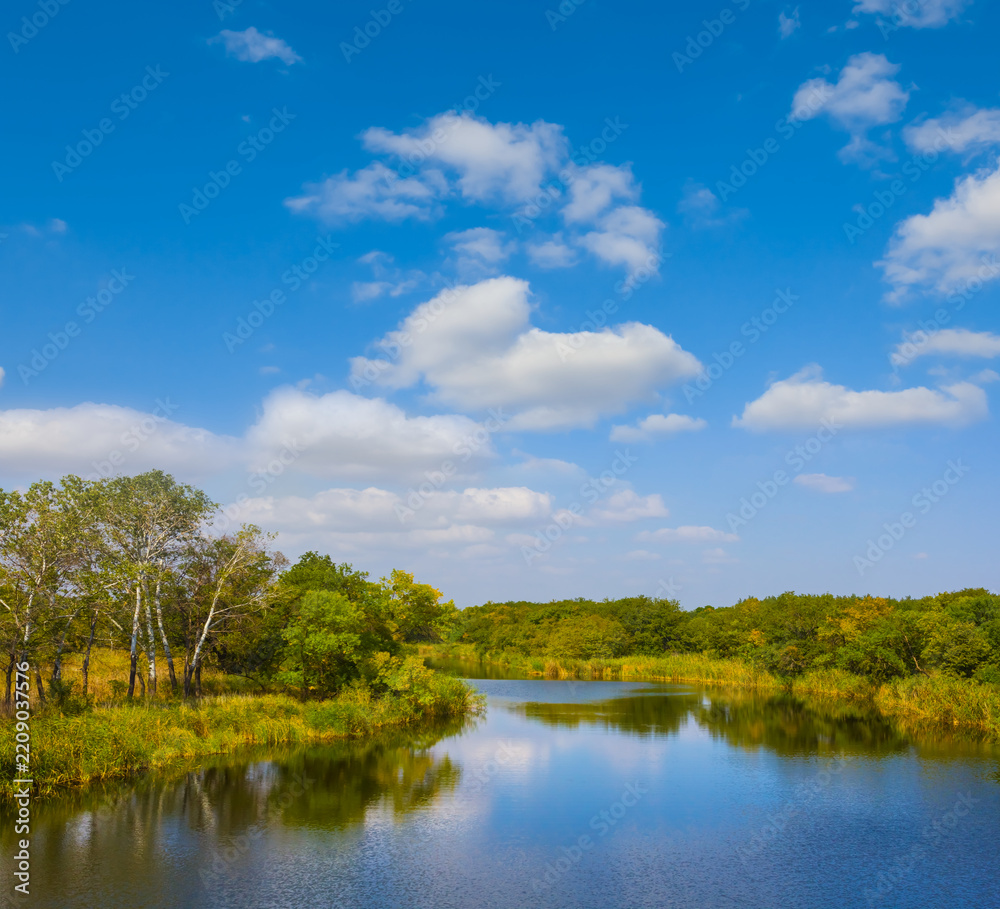 Obraz premium calm river with forest on the coast under a blue cloudy sky