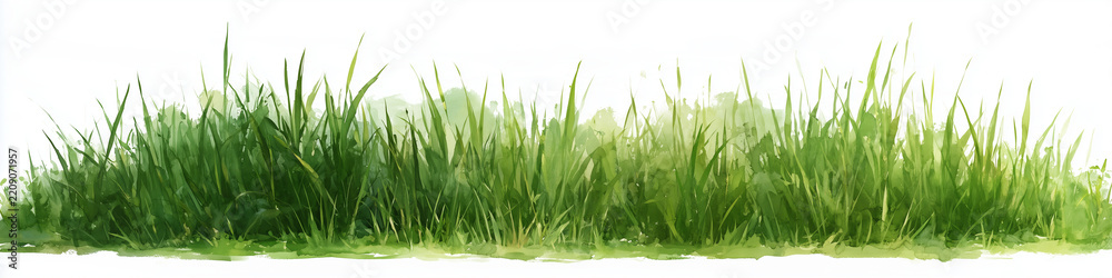Fototapeta premium Watercolor Meadow Grass Border Painted in Soft Green Washes on White