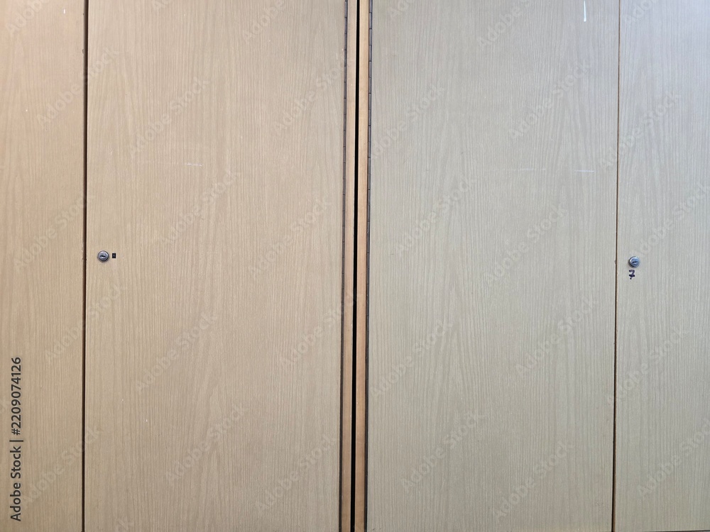Obraz premium wooden door background