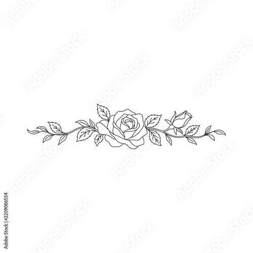 Elegant Rose Horizontal Divider with Floral Branch Line Art Vector