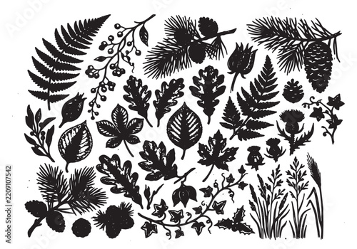 Set of hand drawn forest plants and leaves