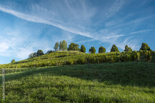 Natural landscape of beautiful green hills and vineyards. Sunny day with blue cloudy sky.
