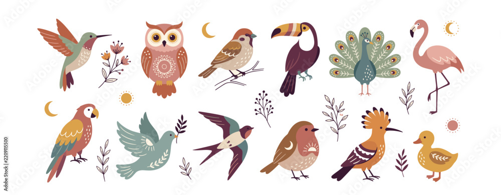 Obraz premium Bird Hand Drawn Vector Set Boho Flat Illustration Colorful Nature