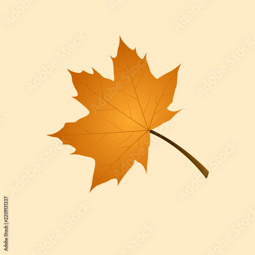 Illustration vector graphic of maple leave isolated on clear background.