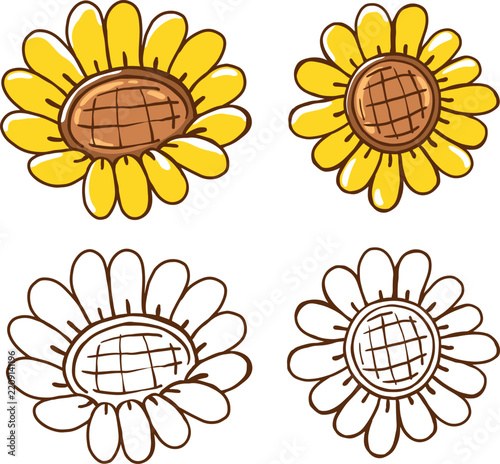 Sun Flower Hand drawn Isolated Illustration