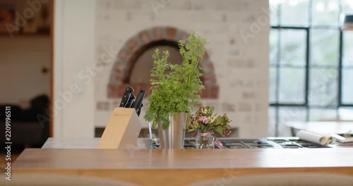 Camera is zooming in, focusing pot with herb, knife block and jar to highlight kitchen island