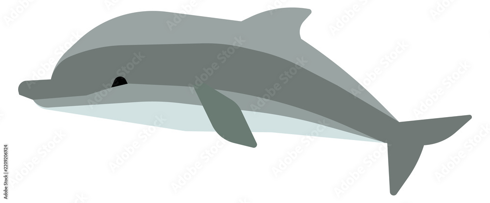 Naklejka premium Swimming dolphin. Wild tropical marine animal icon