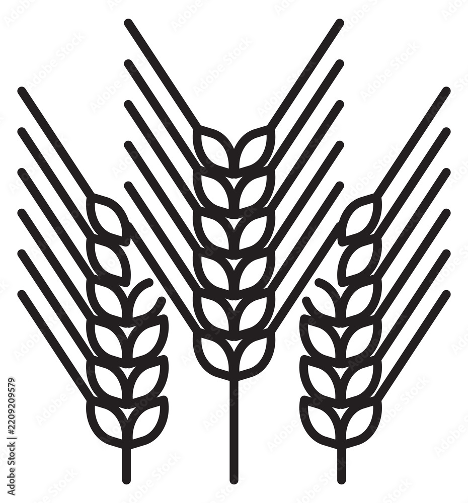Obraz premium Farm crop logo. Grain ears line icon