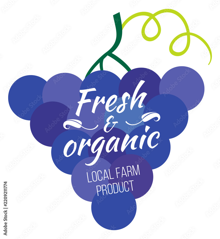 Obraz premium Local vineyard logo. Grape shape for fresh organic farm product